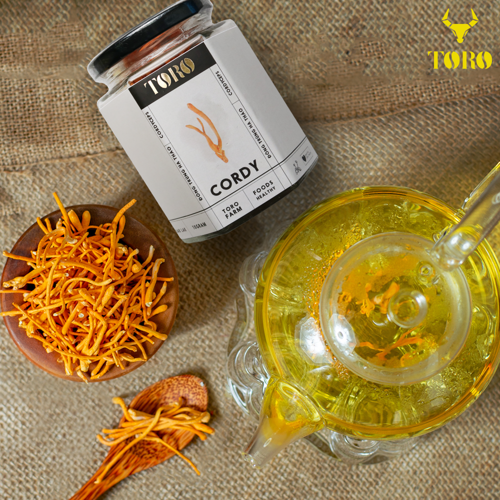  Nơi bán Đông trùng hạ thảo Toro - Sấy thăng hoa nguyên sợi cải thiện chức năng sinh lý - Hũ 10g mới nhất