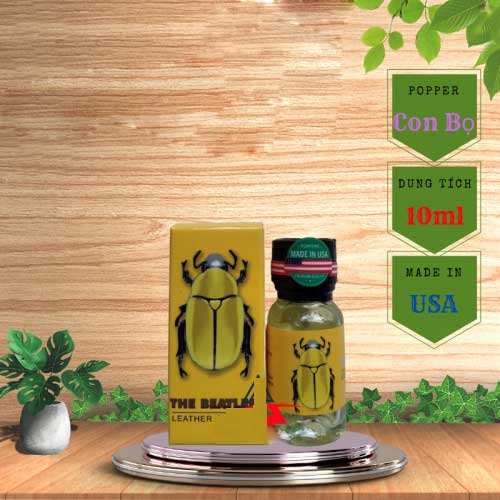  Sỉ Chai Hít Chai hít kích thích Con Bọ Vàng The Beatles Leather Cleaner chính hãng Mỹ 10ml giá tốt