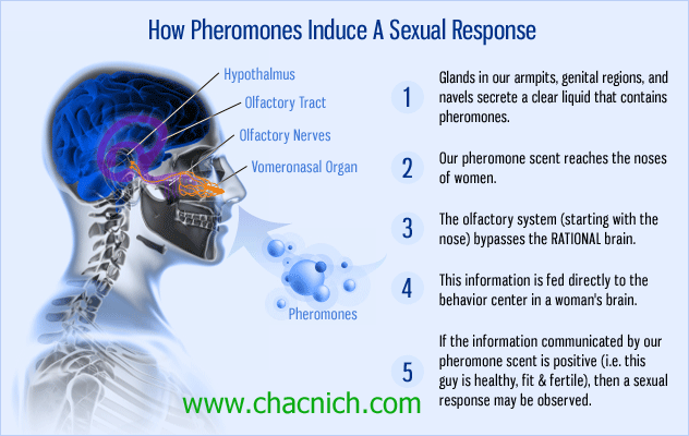 Shop bán Nước Hoa Kích Thích Nữ Huyền Thoại Sex Panther Pheromone giá sỉ Shop bán Nước Hoa Kích Thích Nữ Huyền Thoại Sex Panther Pheromone giá sỉ