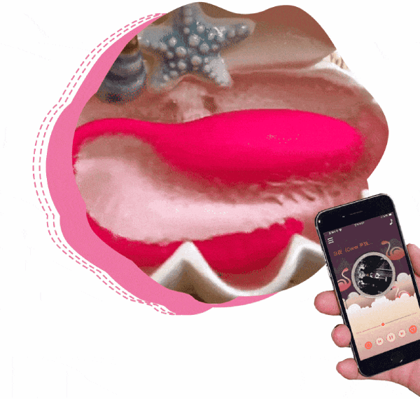  Giá sỉ Trứng rung thiên nga Flamingo Magic Motion điều khiển từ xa bằng điện thoại giá rẻ
