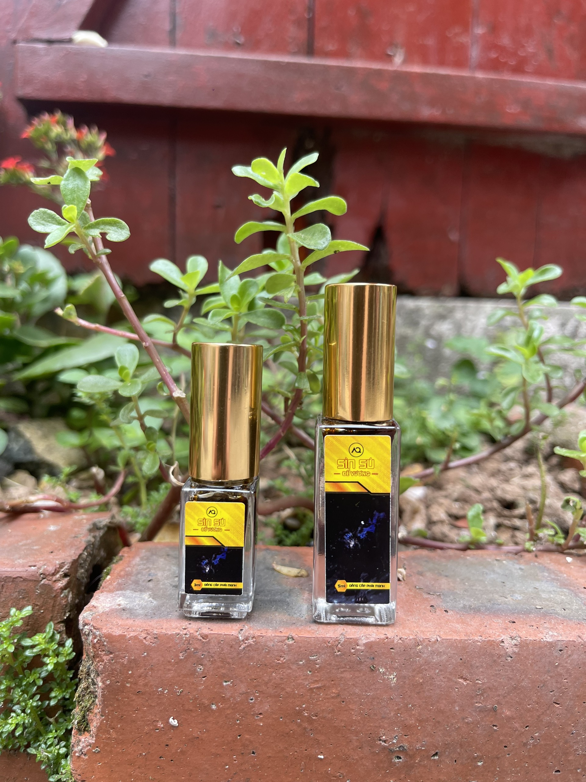  Review Cao Sìn sú Đế Vương dạng xịt chính hãng từ thảo dược Ê Đê Việt Nam cao cấp