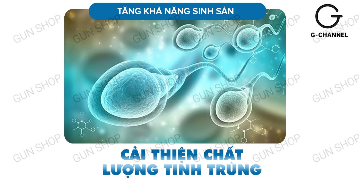 Địa chỉ bán Maxman chính hãng cương dương kéo dài thời gian chống xuất tinh sớm hộp 10 viên có tốt không? Địa chỉ bán Maxman chính hãng cương dương kéo dài thời gian chống xuất tinh sớm hộp 10 viên có tốt không?